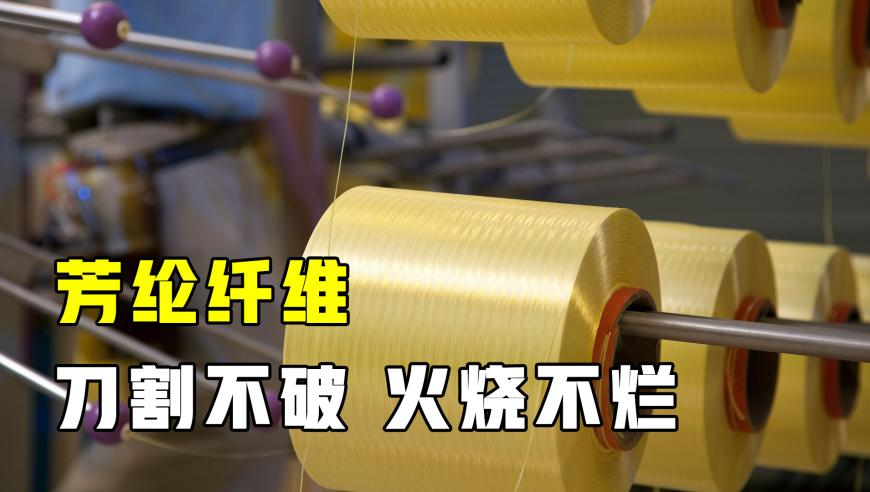中国队雪上项目19金18银14铜,澳门天天彩期期精准下载,详细释义解释落实_影像版V13.54