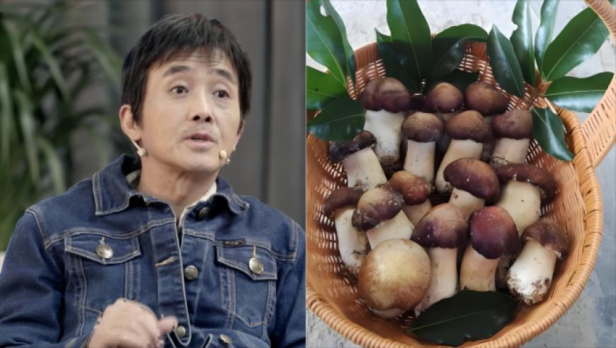 广东男篮取消吉伦沃特注册,澳门资料正版免费大全,前瞻性战略落实探讨_影像版V12.52