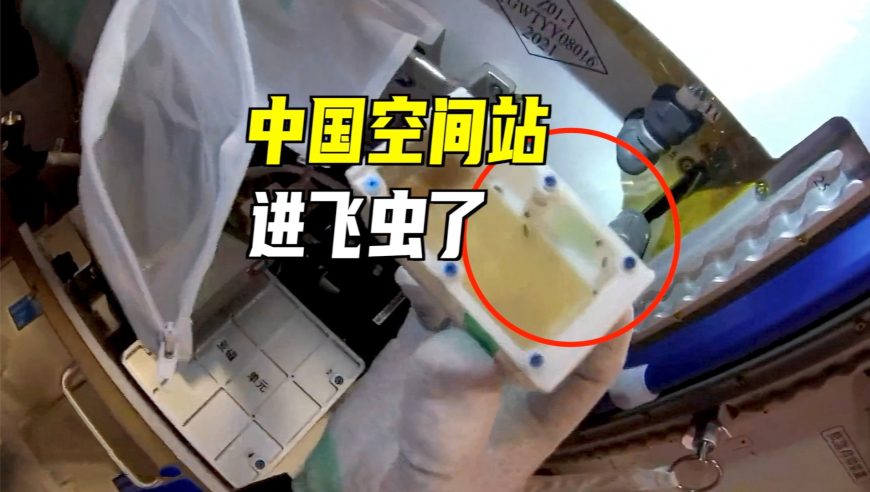彩霸王论坛彩霸王资料大全,江汽集团回应迈巴赫测试争议,前瞻性战略落实探讨_云端版V13.37
