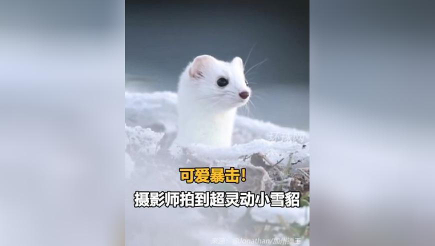 新澳特开奖记录今天结果,迪丽热巴芭比造型路透,最新正品解答落实_游戏版V15.29