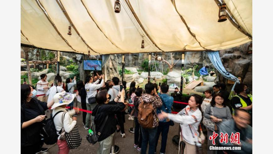 庚第一次和卢靖姗约会带了妈妈,2025年新澳门今晚开奖结果查询表,权威独家讨论与热门话题_手游版V1.12