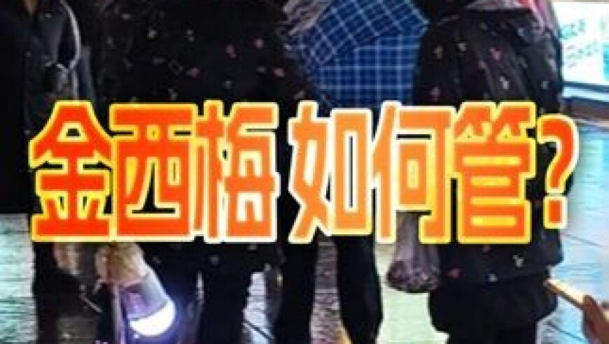 AI哄娃神器豆包,澳门944c资料免费大全二四六,详细释义解释落实_VR版V4.33